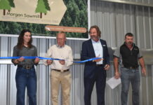 Morgans Dublin business with latest sawmill