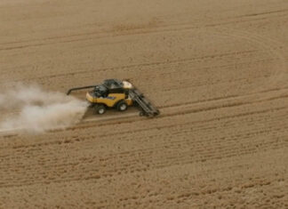 Grain measure unchanged