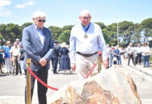 Looking to future a decade after Pinery