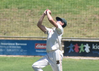 Mallala hold on by one run