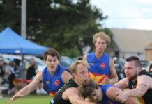 Eagles too strong for disappointing Tigers